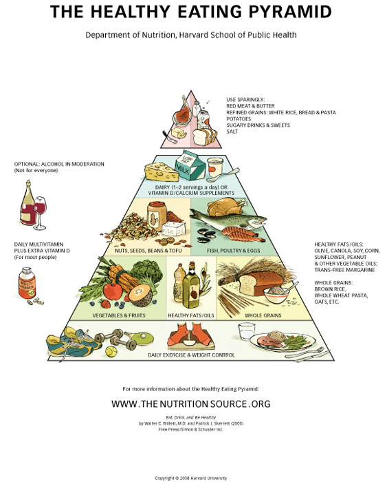 printable food  pyramid
