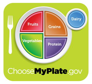 Printable food pyramid, Healthy plate by USDA